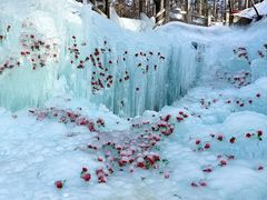 -洛阳白云山景区