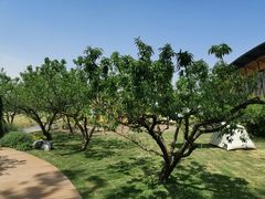 -中国天府农业博览园