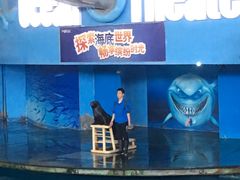-苏州海洋馆