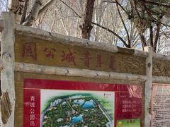 -青城公园