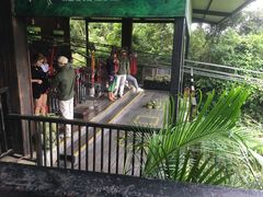 -呀诺达热带雨林
