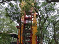 -上海佘山国家森林公园西佘山园