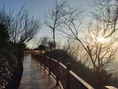 -南京市江宁方山