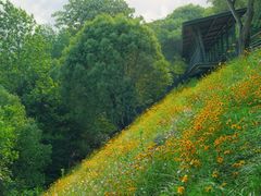 -西湖风景区-江洋畈生态公园