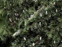 -河南省黄河迎宾馆