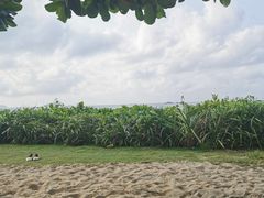 -三亚亚龙湾天域度假酒店