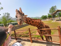 -西安秦岭野生动物园