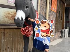 -乔家小院•非遗驴肉•本地小海鲜(滨河路店)
