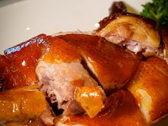 -海口万豪中餐厅·粤菜·海南菜· 平价海鲜·茶点· KTV包房