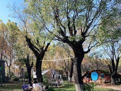 -Supine Bistro溯泮餐厅