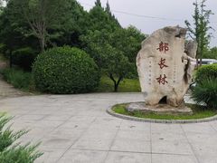 -北坞公园