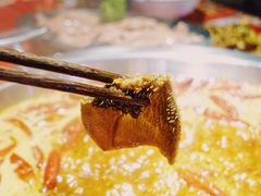 -谭鸭血老火锅(图书馆店)