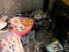 -逃脱反斗城沉浸剧情密室(北京路店)