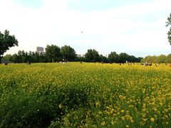 -长白岛森林公园