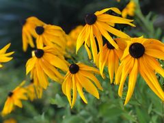 -上海滴水湖皇冠假日酒店