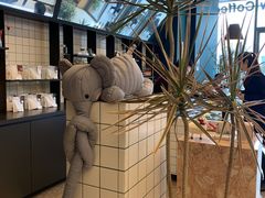-Seesaw Coffee(深圳万象天地店)