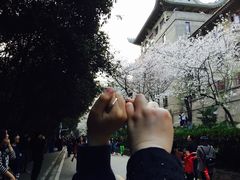 -武汉大学-樱园