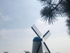 -渡海小渔村.老辈日照菜