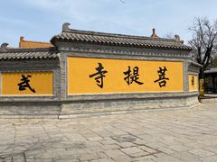 -台儿庄古城