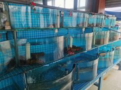 -老太太海鲜城(森林公园任家台店)