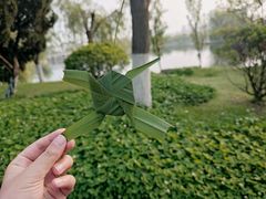 -大塘金香草谷