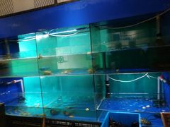 -浙C老邻舍(西城海错店)
