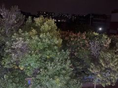 -便宜坊烤鸭店(科创店)