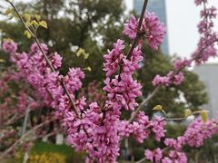 -天鹅湖体育公园