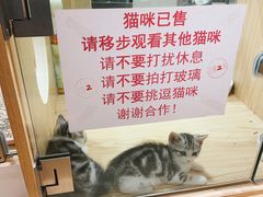 -屋虎猫馆(宝安大仟里店)