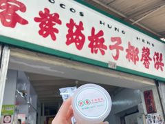 -洪馨椰子