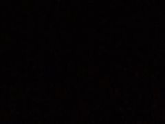 -天津前进宠物医院(前进道店)