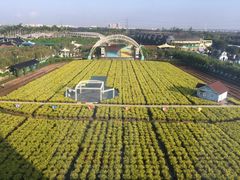 -广州花之恋城堡酒店