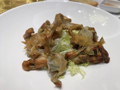 -紫阳富豪大酒店(惠南店)