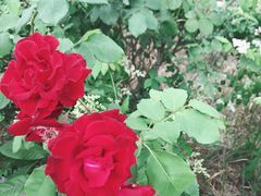 -仙海旅游度假区