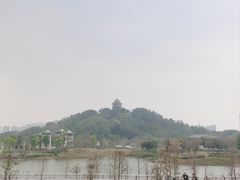 -王借岗森林公园
