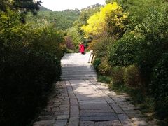 -青岛崂山太清宫