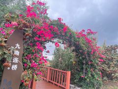 -芒洲湿地公园