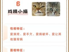 -爱侣宠医·鹦鹉专科·小型哺乳类·异宠专科(灵石路店)