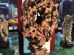 -烟台自然博物馆