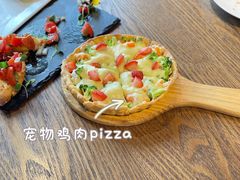 -百好乐宠物友好餐厅(朝外大街店)