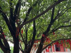 -洛阳周公庙博物馆
