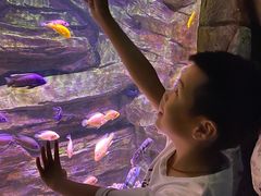 -多彩贵州城极地海洋世界