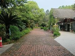 -故乡缘·香格里拉山庄(冷竹路店)