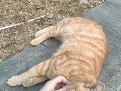 -南京市江宁方山