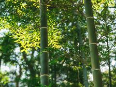 -桂林资江天门山风景区