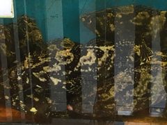-真浪花园海鲜餐馆