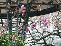 -西湖文化广场