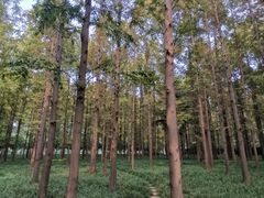 -河南省黄河迎宾馆