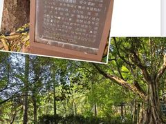 -湖泉半山温泉