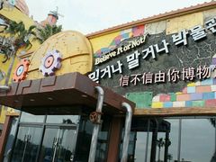 -信不信由你博物馆